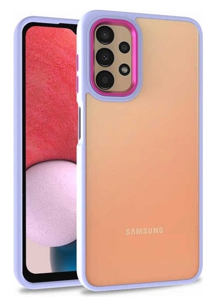 Samsung Galaxy A53 5g Uyumlu Kılıf Sert Silikon Renkli Şerit Tasarımlı Parlak Flora Kapak, Lila