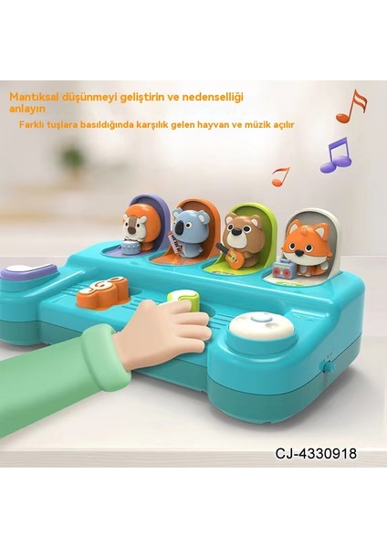 Müzik Notası Nedensel Ilişki Müzik Saklambaç Kedi Açılır Anahtar Kutusu Montessori Erken Eğitim Bulmaca Oyuncak (Yurt Dışından)