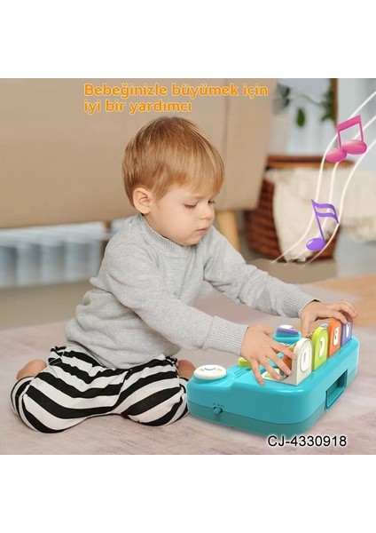 Müzik Notası Nedensel Ilişki Müzik Saklambaç Kedi Açılır Anahtar Kutusu Montessori Erken Eğitim Bulmaca Oyuncak (Yurt Dışından)