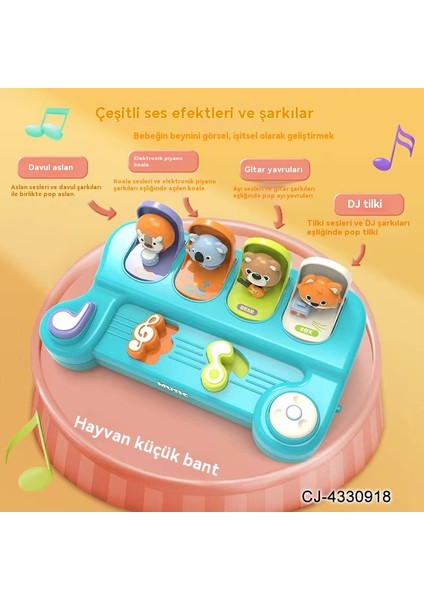 Müzik Notası Nedensel Ilişki Müzik Saklambaç Kedi Açılır Anahtar Kutusu Montessori Erken Eğitim Bulmaca Oyuncak (Yurt Dışından)