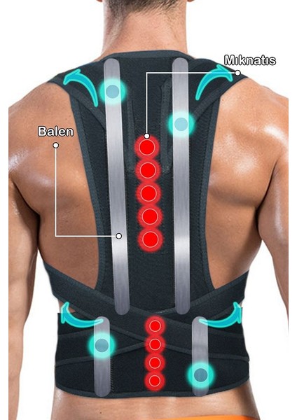 Çift Balenli Manyetik Dik Duruş Korsesi Sırt Ve Bel Destekleyici Korse