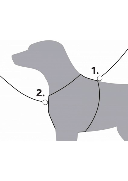 Köpek Premium Göğüs Tasması Xl-Xxl 95-120CM 25MM Çivit Mavi 13 modelleri