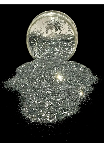 Epoksi Glitter Sim 50 gr Kalın Mikron Parlak Silver