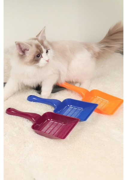 Aralıklı Plastik kedi Kumu Küreği,Temizleme Eleme Küreği Mor fiyatları