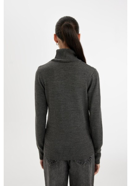 Regular Fit Yumuşak Dokulu Balıkçı Yaka Basic Düz Triko Kazak H1651AZ24WN
