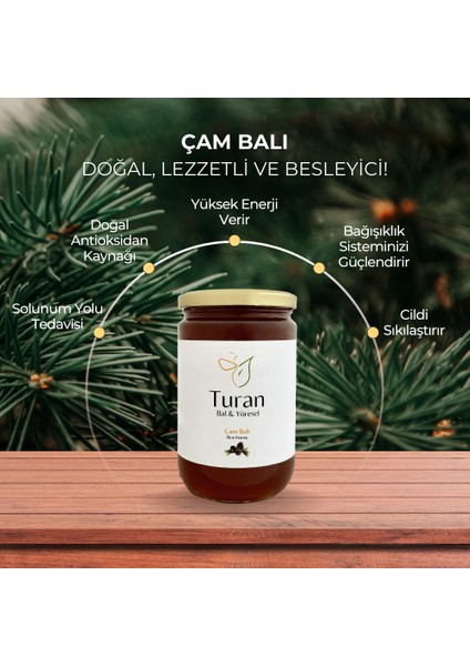 Çam Balı Teneke 2850 gr modelleri