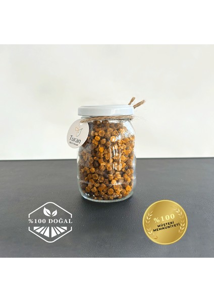 Arı Ekmeği Perga 100 gr