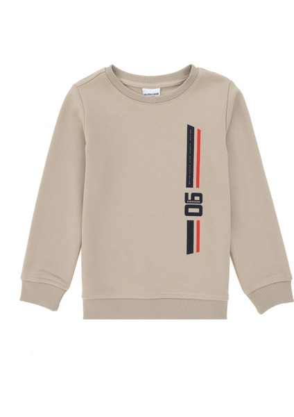 U.s. Polo Assn. Erkek Çocuk Taş Sweatshirt 50293546-VR049