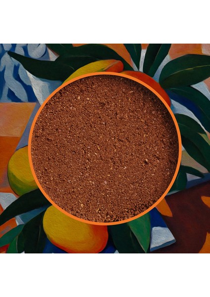 Mango Coffee - Mango Aromalı Kahve Filtre Kahve, 200 Gr