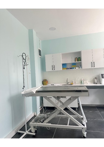 Hijyenik Operasyonlar Için Düşünülmüş Atık Su Gider Hortumuna Sahip 2 Motorlu Veteriner Masası indirimleri