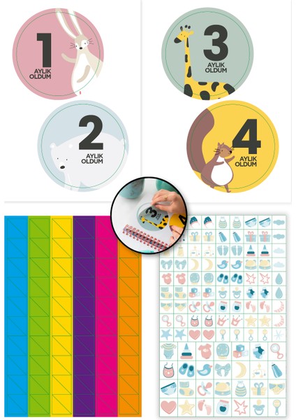 Bebek Anı Defteri Mavi Stickerlı + Çekim ve Zeka Kartları Seti