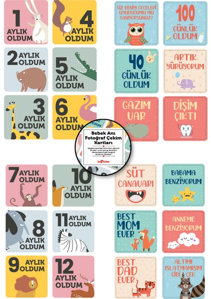 Bebek Anı Defteri Mavi Stickerlı + Çekim ve Zeka Kartları Seti