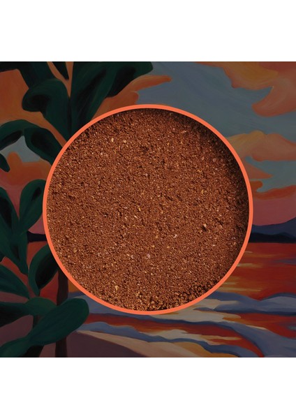 All Day Blend Coffe - All Day Blend Filtre Kahve, 200 Gr