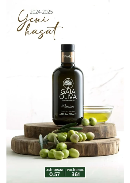 Yeni Hasat Gaia Oliva Premium Ayvalık 500 ml Erken Hasat Natürel Sızma Zeytinyağı