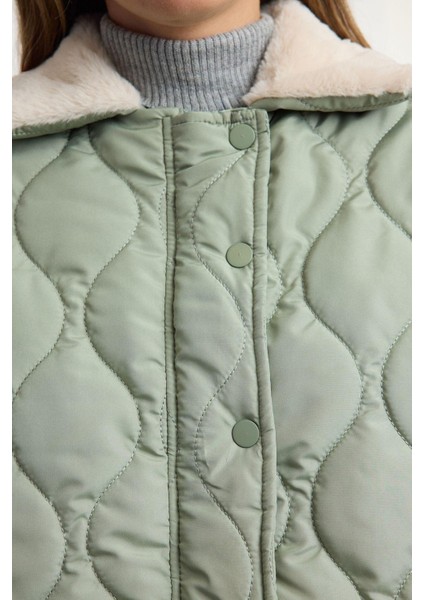 Kadın Moda Şık Regular Gömlek Yaka Standart Düz Astarlı Yakası Peluş Su Iticili Kapitone Şişme Mont