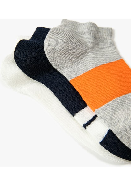 3’Lü Patik Çorap Seti Çizgili Çok Renkli modelleri