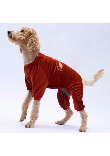 Kiremit Bonjour Kadife Orta-Büyük Irk Köpek Tulumu