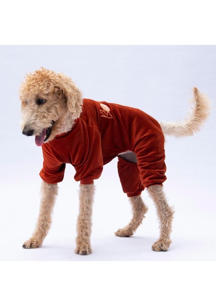 Kiremit Bonjour Kadife Orta-Büyük Irk Köpek Tulumu fiyatları