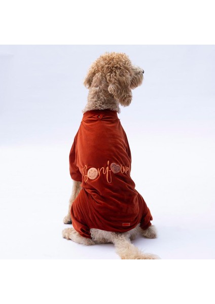 Kiremit Bonjour Kadife Orta-Büyük Irk Köpek Tulumu modelleri