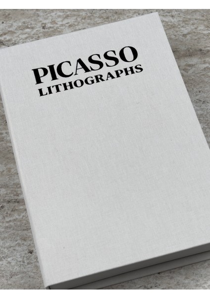 Picasso Kumaş Doku Kitap Kutu