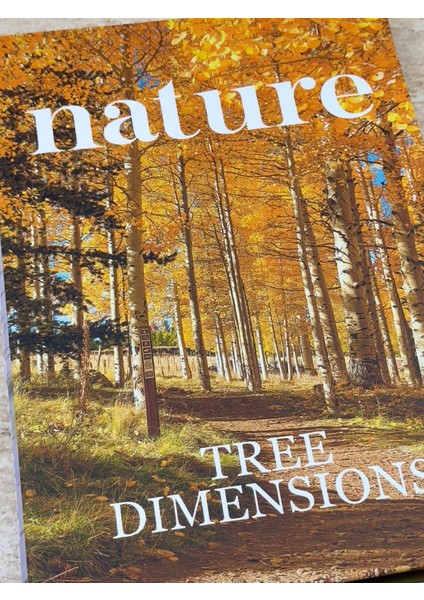 Nature Kitap Kutu (B)