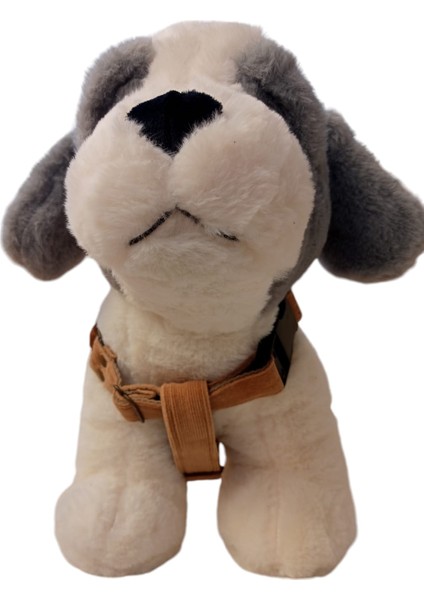 Köpek Göğüs tasması minik ırk kadife cepli göğüs ölçüsü:25-40cm ayarlamalı 3-7kg dog harness GT2-27 modelleri