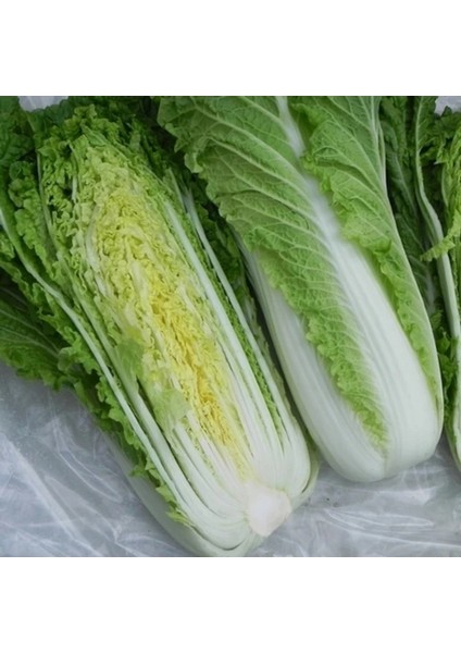 150 Adet Organik Ithal Geleneksel Çin Lahanası Tohumu Hediye Tohumludur