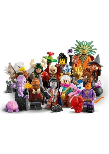 Minifigures Dungeons Dragons 71047