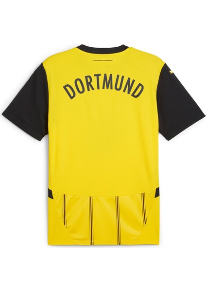 Borussia Dortmund 24/25 Erkek Iç Saha Forma fiyatları