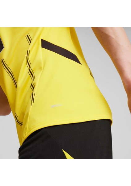 Borussia Dortmund 24/25 Erkek Iç Saha Forma fırsatları