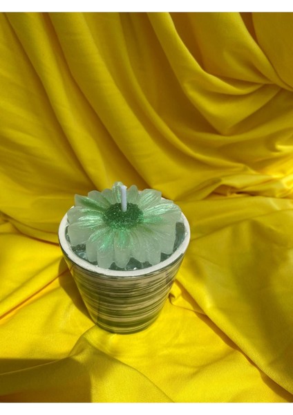 Çizgili Saksıda Papatya Şekilli Dekoratif Kokulu Mum modelleri