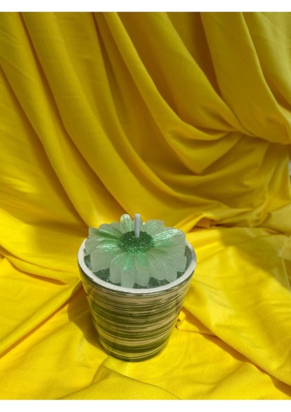 Çizgili Saksıda Papatya Şekilli Dekoratif Kokulu Mum indirimleri