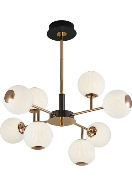 Sofia 8'li Siyah Gold 80 Watt Yuvarlak Modern Oturma Odası, Salon Avize