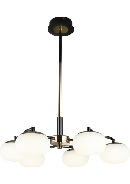 Pura 6'lı Siyah Gold 60 Watt Yuvarlak Modern Oturma Odası, Salon Avize