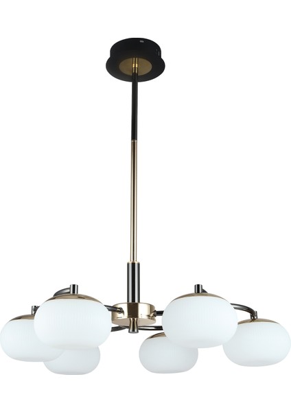 Pura 6'lı Siyah Gold 60 Watt Yuvarlak Modern Oturma Odası, Salon Avize