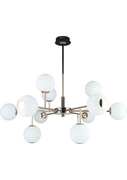 Sofia 12'li Siyah Gold 100 Watt Yuvarlak Modern Oturma Odası, Salon Avize modelleri