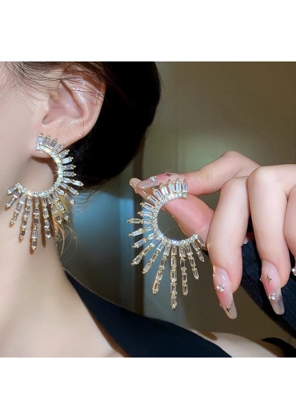 Üst Düzey ve Atmosferik Internet Ünlü Mizaç Küpeleri Avrupa ve Amerikan Modası Abartılı Elmas Taklidi Uzun Püskül Küpeler (Yurt Dışından)