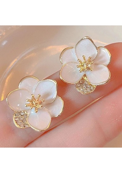 Yeni Zarif Küpeler, Popüler Internet Ünlü Küpeleri, Üst Düzey Küpeler, Kişiselleştirilmiş Moda Küpeler (Yurt Dışından)