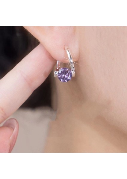 Yeni Geometrik Mikro Işlemeli Zirkon Küpeler, Niş Tasarım, Modaya Uygun, Zarif, Sade, Çok Uyumlu Kadın Küpeleri (Yurt Dışından)