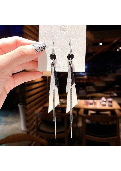 Kadınlar Için Moda Mizaç Uzun Püskül Yaz Popüler Küpeler Süper Parlak Üst Düzey Hafif Lüks Küpeler (Yurt Dışından)