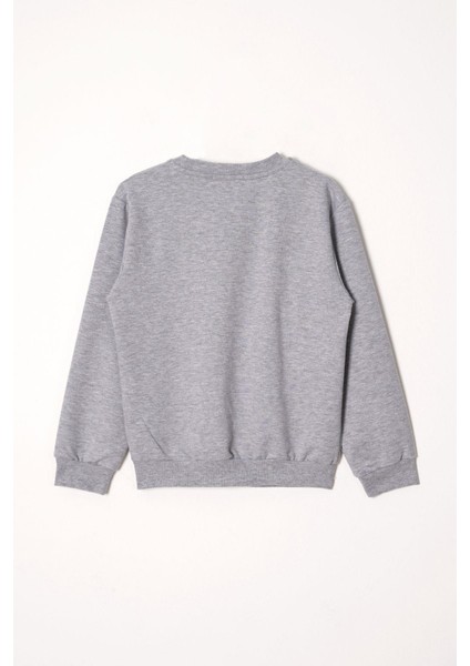 Vision Baskılı Erkek Çocuk Gri Renk Eşofman Takım fiyatları