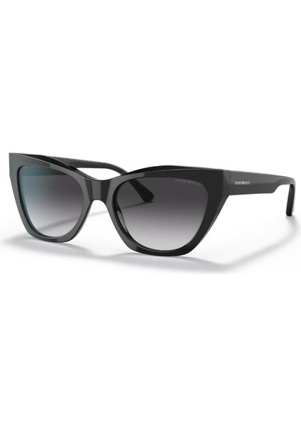 Güneş Gözlüğü E.armani EA4176 58758G54 fiyatları