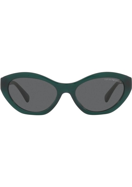 Güneş Gözlüğü E.armani EA417254512787