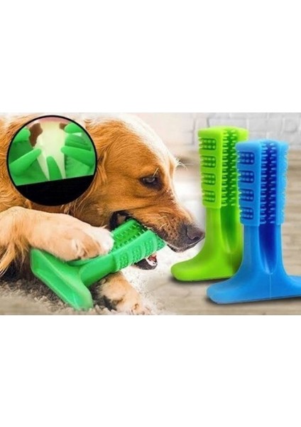 Köpek Diş Fırçası