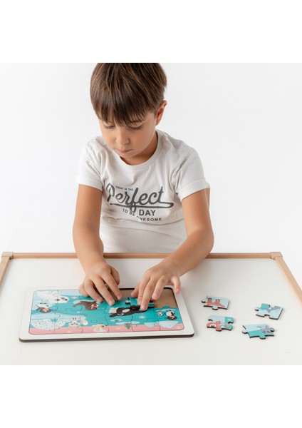 Montessori Buz Devri 24 Parça Ahşap Puzzle Seti / 1+ Yaş / Eğitici, Öğretici ve Güvenli Çocuk Oyuncağı