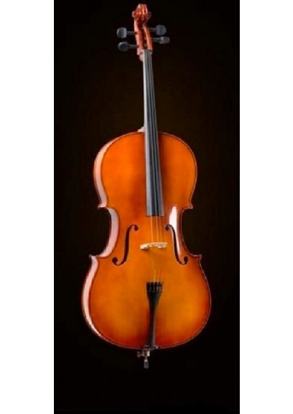 CE400G34 Cello Kılıflı
