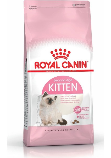 Kitten 4 kg Yavru Kedi RC