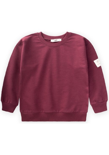 Kolu Etiket Detaylı Sweatshirt 2-10 Yaş Bordo