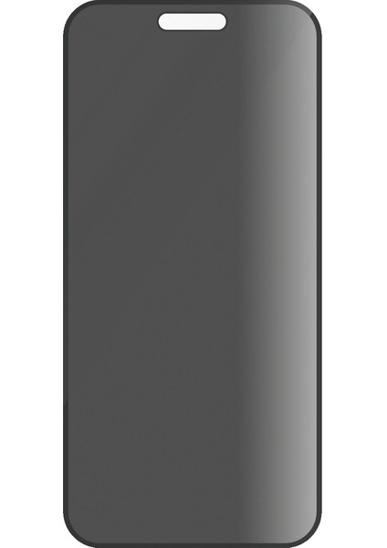 Care By Apple iPhone 16 Pro Max Flagship 3 In 1 Privacy Bundle Ekran & Kamera Koruyucu & Kılıf fırsatları