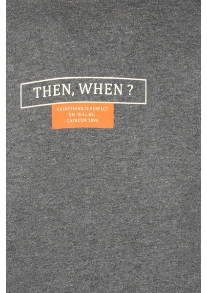 Erkek 5224 3 Iplik Sweat 24KCEEO05224 modelleri